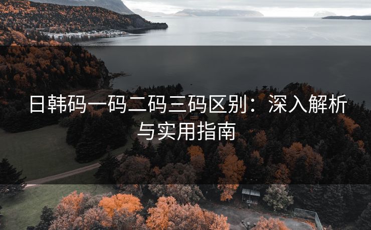 日韩码一码二码三码区别：深入解析与实用指南