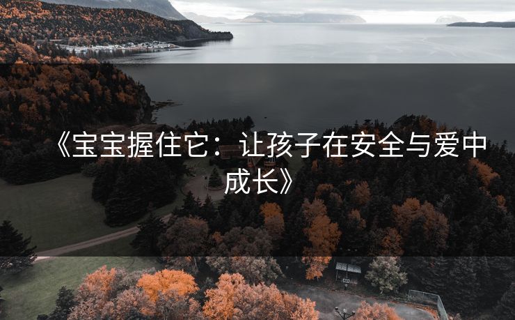 《宝宝握住它：让孩子在安全与爱中成长》