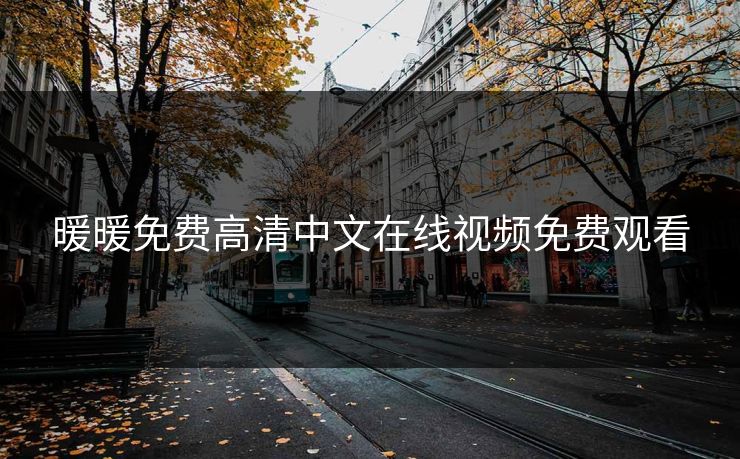 暖暖免费高清中文在线视频免费观看