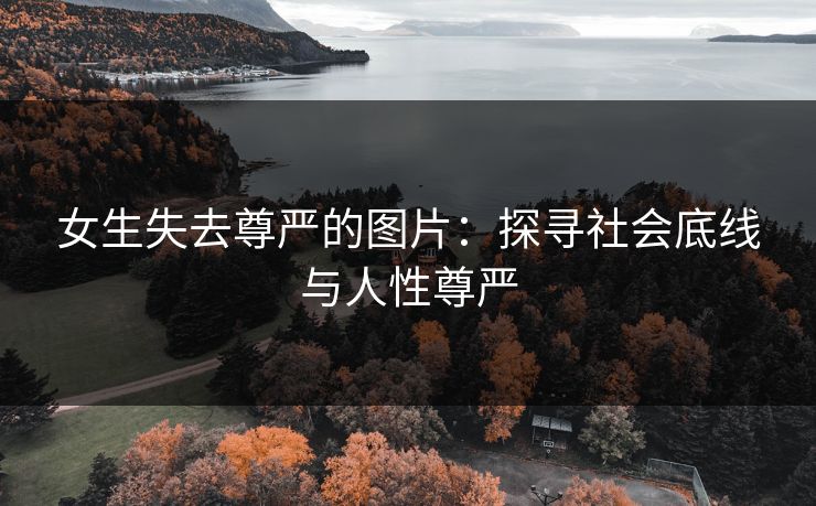 女生失去尊严的图片:探寻社会底线与人性尊严 女生失去尊严的图片:探寻社会底线与人性尊严