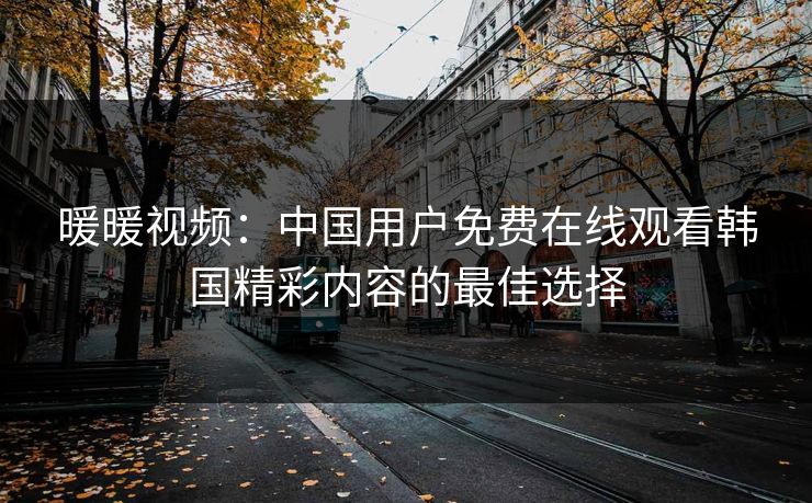 暖暖视频：中国用户免费在线观看韩国精彩内容的最佳选择