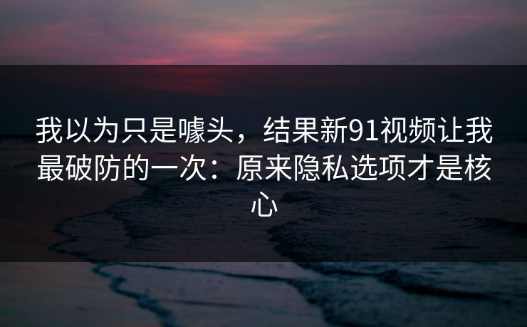 我以为只是噱头，结果新91视频让我最破防的一次：原来隐私选项才是核心